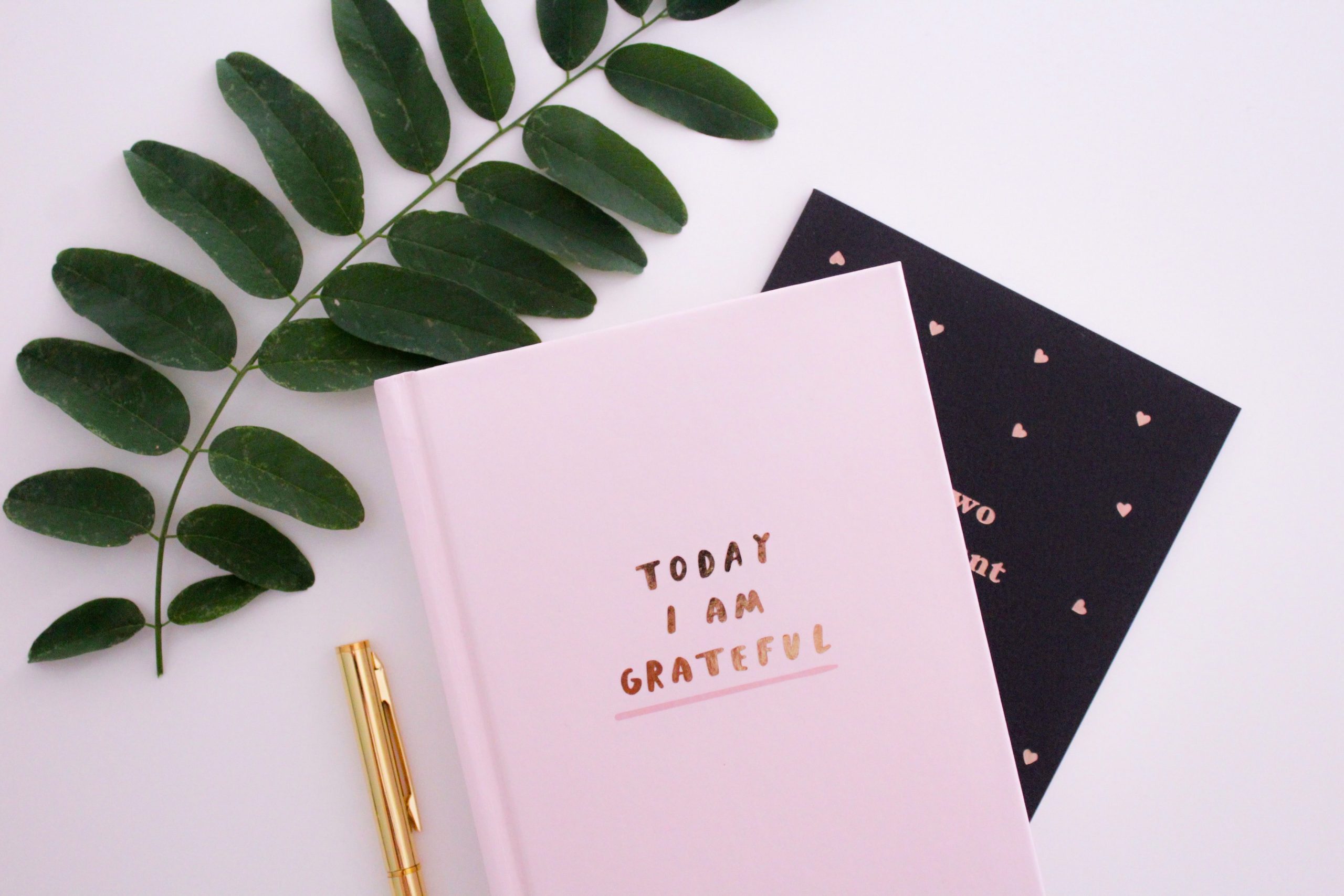 Grateful journal - make monday suck less 